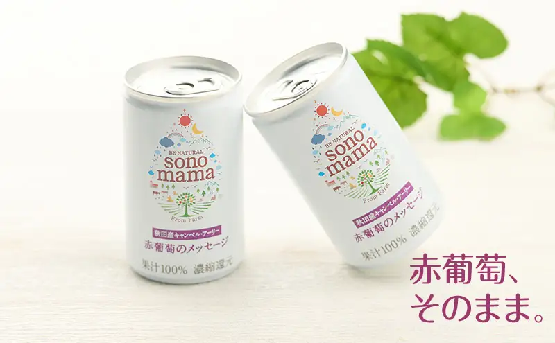 《 定期便 3ヵ月 》 赤葡萄ジュース「sonomama」（160g×5本）×2箱 ぶどう ブドウ ジュース ぶどうジュース 飲料