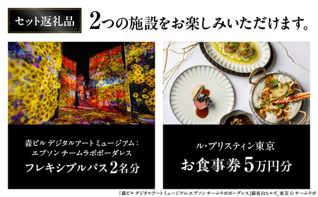 【ヒルズ周遊（麻布台・虎ノ門）ペア体験】チームラボボーダレス／ホテル虎ノ門ヒルズ ル・プリスティン食事券