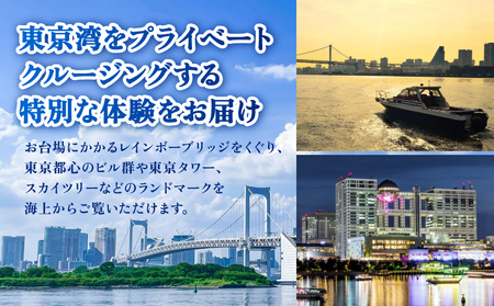 小型クルーザー貸切　東京ベイエリア クルージング体験（5名様　60分） │ 東京 体験 クルーズ