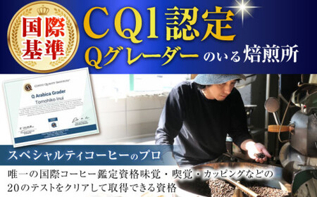【全3回定期便】 ドリップバッグセット 12個 ＜スペシャルティコーヒー＞ 【イヌイットコーヒーロースター】[ASAB010]
