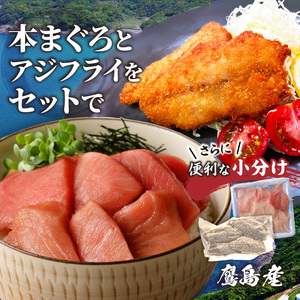 鷹島産本まぐろ 食べきりサイズ(80g×8p)とアジフライのセット(4枚×4p) (魚 マグロ あじ 鯵) 【C8-024】