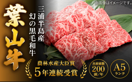 葉山牛 上カルビ500g／ カルビ [ASAP025]