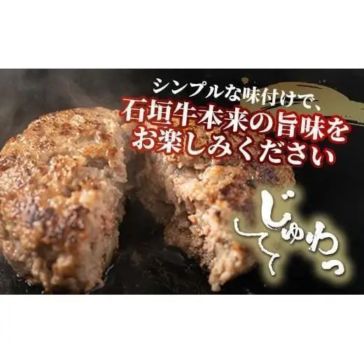 石垣牛 ハンバーグ セット (100g×10個)＜2026年5月発送＞ | 国産 石垣牛100% 沖縄 石垣島産 高級 黒毛和牛 ビーフ ハンバーグセット