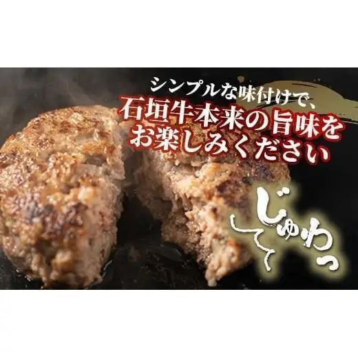 石垣牛 ハンバーグ セット (100g×10個)
