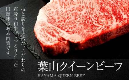 葉山クィーンビーフハンバーグ 150g×2 |  ハンバーグ  [ASCD010]
