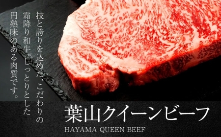 葉山クィーンビーフハンバーグ 150g×4 |  ハンバーグ  [ASCD011]