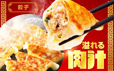 加登屋の町中華 4種セット 4人前 餃子 春巻 からあげ もつ煮【加登屋食堂】名物 冷凍 おすすめ[MGQ004]