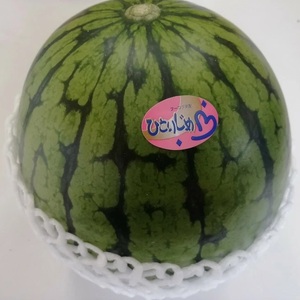 【0415-5】和歌山県産小玉すいか ひとりじめ L～2L寸（2玉約4～5kg）