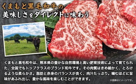 肉 くまもと黒毛和牛 カルビ ロース 焼肉 食べ比べセット 300g 150g × 2 |富士商