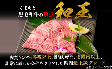 くまもと 黒毛和牛 和王 カルビ 焼肉用 約400g（約400g×1P）カルビ焼肉[AYBR022]