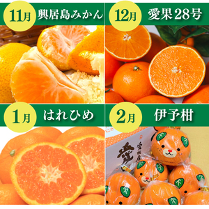 【先行予約】【全7回】 柑橘定期便｜  興居島みかん あいか はれひめ いよかん温州 温州みかん 愛果 愛果28号 紅まどんな と同品種 伊予柑 せとか 神ポン カラマンダリン 不知火 柑橘 定期便 取り寄せ 甘いみかん ギフト 愛媛県産 ミカン みかん mikan 蜜柑 フルーツ 果物 くだもの お取り寄せ 産地直送 数量限定 人気 おすすめ 送料無料 贈答 ギフト 愛媛県 松山市【SSK023】