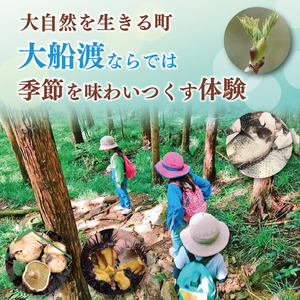 季節の三陸体験 体験チケット (2名様分/1体験) 三陸アクティブ 三陸 大船渡 大船渡市 体験 体験チケット チケット 夏休み 冬休み 春休み うに ウニ 山菜 山菜取り キノコ きのこ きのこ狩り キノコ狩り 鱈 たら タラ 季節 自然 旬
