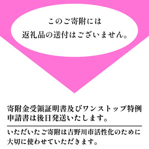【 返礼品なし 30,000円  】 徳島県 吉野川市 への 寄附 応援寄附金