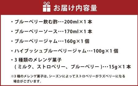 ブルーベリー農家のギフトセット ／ 5種 飲む酢 ソース ジャム ハイブッシュブルーベリージャム メレンゲ菓子 