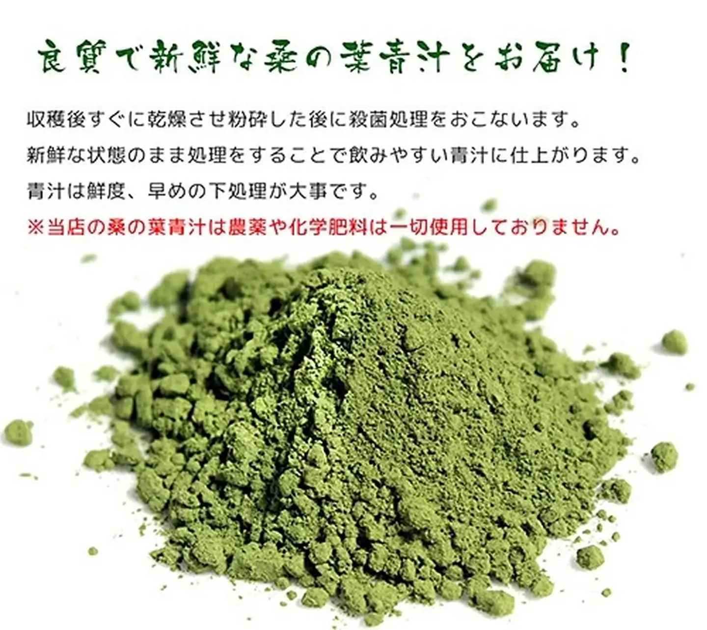 有機栽培 桑の葉青汁（2個セット）：B150-019