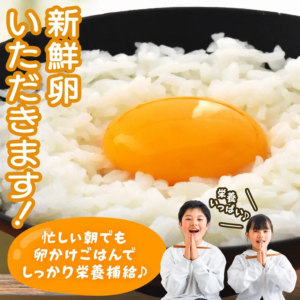 眠れる森のたまご　朝採れ卵40個 たまご タマゴ 卵 鶏卵 濃厚 こだわり 新鮮 【04301-0324】