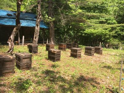 菊常養蜂園 季節限定 はちみつ おまかせセレクト6個入【遠野 伝承園】 国産 遠野産 非加熱 蜂蜜 純粋 食べ比べ ハチミツ