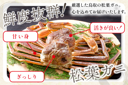 【活き】タグ付き松葉ガニ　中　2枚【松葉ガニ 松葉がに 松葉蟹 まつばがに かに カニ 冷蔵 チルド ブランド ズワイガニ 活き お祝い 冬 国産 季節限定 お取り寄せ 鳥取県 日吉津村 日本海】