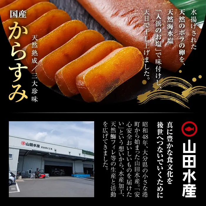 からすみ (1本) カラスミ ボラ 珍味 魚卵 冷凍 おつまみ 大分県 佐伯市 国産【HX001】【山田水産(株)】
