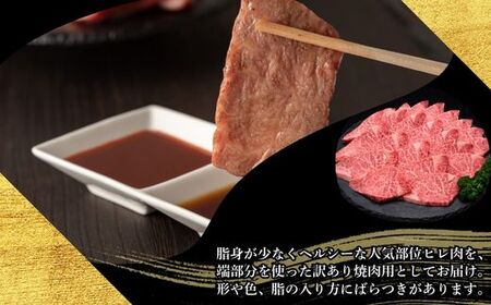 博多和牛 訳あり A5 A4等級 ヒレ 焼肉 計600g 5回 定期便 | ヒレ
