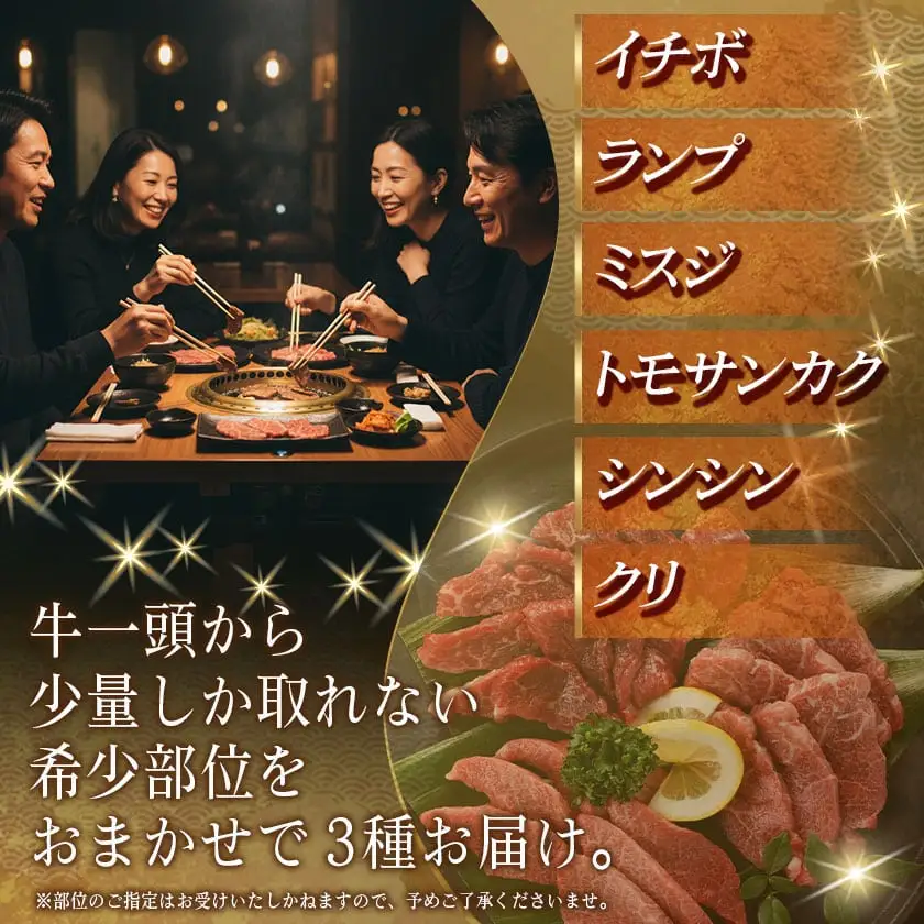 牛肉好き必見!宮崎牛希少部位の焼肉☆お楽しみ3種盛(100g×3種)〔14-J702〕_(都城市) 宮崎県産 宮崎牛 希少部位イチボ ランプ ミスジ トモサンカク シンシン クリ から厳選 100g×3種 焼肉用