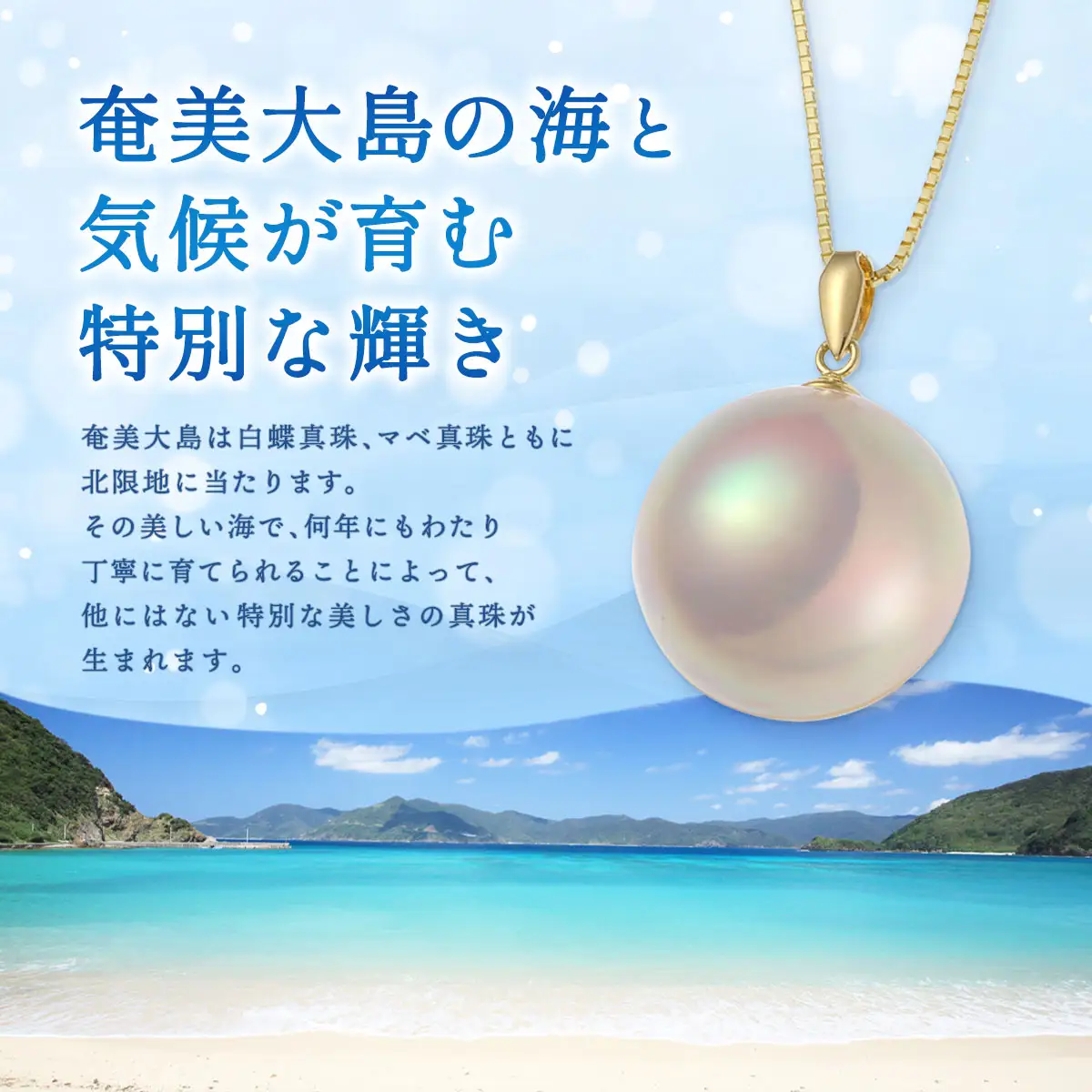 【真珠】 奄美 パール マベ 真珠（ 13mm K18 イエローゴールド ペンダント 995 ）【天然】 真珠 ジュエリー アクセサリー