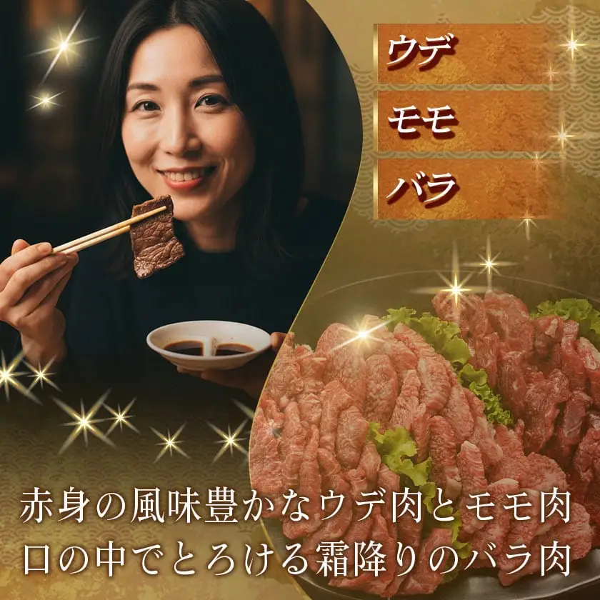 宮崎牛【赤身&霜降り】焼肉セット_16-J701_(都城市) 宮崎県産 宮崎牛 ウデ モモ バラ 焼肉用 600g