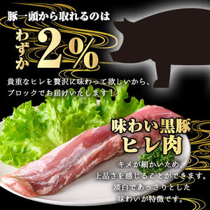 ＜定期便・全3回＞ かごしま 味わい 黒豚 極み ヒレ (計1.2kg/400g×3回) 豚肉 【KNOT】 T59