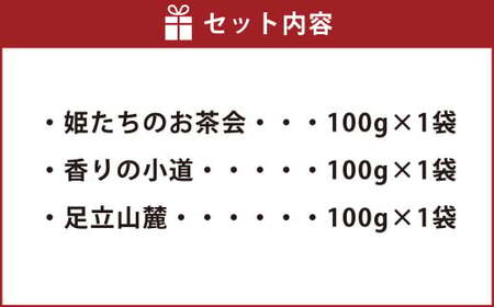 豆乃木特選ブレンド コーヒー豆3種セット コーヒー コーヒー豆 コーヒー粉 珈琲豆 珈琲 中挽き 飲み比べ 各100g×3袋 合計約300g 冷蔵 豆の専門店 福岡県 京都郡 苅田町