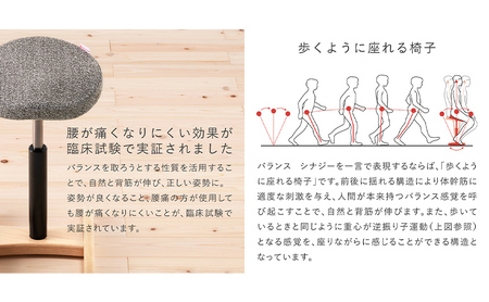 椅子 バランスシナジー カバー付き 選べる シート カラー 腰痛対策椅子 腰痛対策 家具 Sシートシックブラウンベージュ