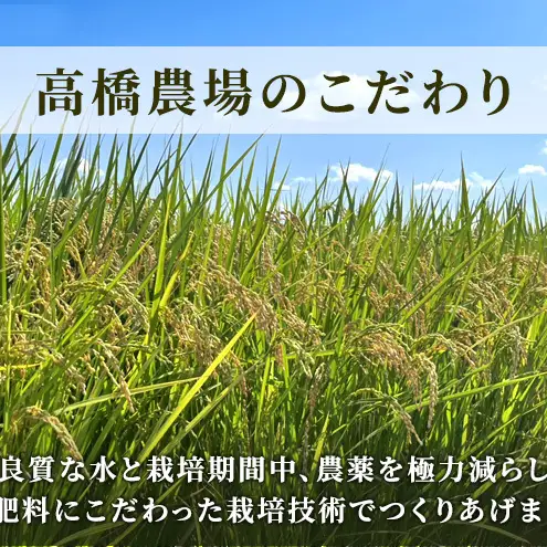 【新潟県上越市産】特別栽培米 コシヒカリ 令和7年産 10kg（5kg×2袋）ご飯 おにぎり
