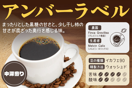 《定期便4ヶ月》コーヒー豆 自家焙煎 ホンジュラス スペシャルティコーヒー 焙煎豆 200g×1パック 細挽き【アンバー】