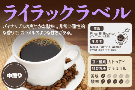 《定期便4ヶ月》コーヒー豆 自家焙煎 ホンジュラス スペシャルティコーヒー 焙煎豆 200g×1パック 細挽き【ライラック】