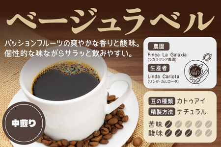 《定期便12ヶ月》コーヒー豆 自家焙煎 ホンジュラス スペシャルティコーヒー 焙煎豆 200g×1パック 細挽き【ベージュ】