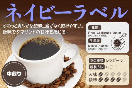 《定期便12ヶ月》コーヒー豆 自家焙煎 ホンジュラス スペシャルティコーヒー 焙煎豆 200g×1パック 粗挽き【ネイビー】