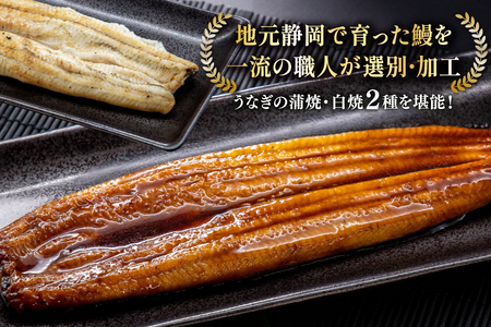 うなぎ 静岡県産 鰻2尾 約160g×2 蒲焼1尾 白焼1尾 [駿河淡水株式会社 静岡県 吉田町 22424653]