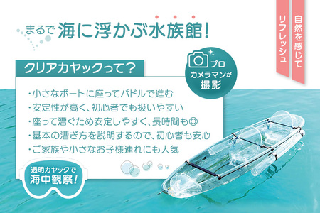 【宮古島】絶景貸切ツアー　クリアカヤック　大人1名様分　うみさんぽ（MS02）