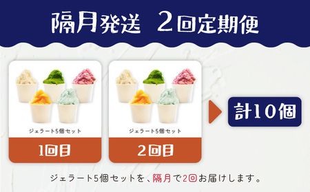 【 全2回 定期便 】 花火大会 応援 ！島の人気店、島の 特産品 とパワーをジェラートに！島の特産品を活かした フレーバー！ ジェラート 5個 セット C073-T01 菓子 お菓子 スイーツ 花火