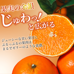 【2026年11月下旬頃から順次発送】 あいか（紅まどんな と同品種） 2kg | みかん ミカン 紅マドンナ 紅まどんな と同品種 蜜柑 アイカ 柑橘 果物 贈答 愛媛のみかん くだもの フルーツ ご家庭用 数量限定  愛媛県産 ミカン 愛果28号 愛媛県 松山市【SSK019】