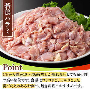 鹿児島県産若鶏ハラミ(300g×10袋・合計3kg) 国産 鶏肉 鳥肉 肉 若鶏 お肉 ハラミ 希少 小分け 冷凍 真空パック 【TRINITY】_y538