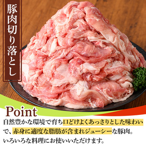 鹿児島県産豚肉・鶏肉セット(計4.5kg) 国産 九州産 鹿児島県産 鶏肉 鳥肉 鶏 とり 若鶏 豚肉 切り落とし 切落し 冷凍 もも モモ 小分け 真空 【TRINITY】_y552