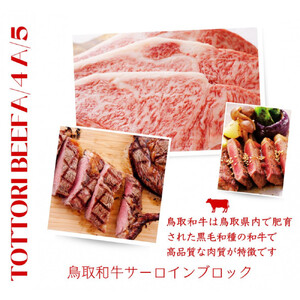 鳥取和牛 サーロインブロック 3kg