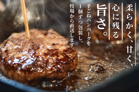 佐賀牛 すきやき用400g・柔らかハンバーグ4個(H122112)