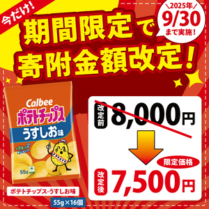 【10営業日以内に出荷】カルビー ポテトチップスうすしお味（55g） 16個｜Calbee お菓子 菓子 おやつ おかし ぽてち ポテチ スナック おつまみ ジャガイモ じゃがいも（93-01）