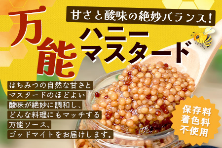 【５営業日以内に発送】【椎葉村産のはちみつ】を使用したハニーマスタード！ゴッドマイト 90g × 3個 計 270g | ハニーマスタード マスタード 90g 270g 3個 はちみつ 蜂蜜 粒マスタード 万能ソース 宮崎県 椎葉村 おすすめ 純粋はちみつ | TT-20