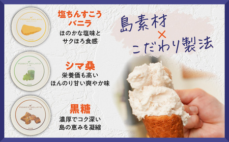 POWER gELATO 沖永良部島産（ 定番 セット 12個入り ） W066-001-02 冷凍 スイーツ