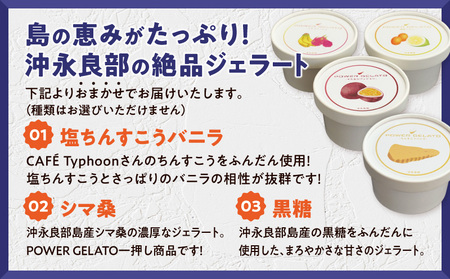 POWER gELATO 沖永良部島産（ ミックス セット 6個入り ） W066-003-01 冷凍 スイーツ