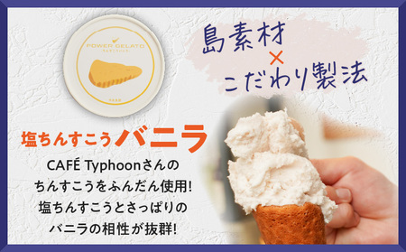 POWER gELATO 沖永良部島産（ 塩ちんすこうバニラ ）90ml × 15個入り W066-004-03 冷凍 スイーツ