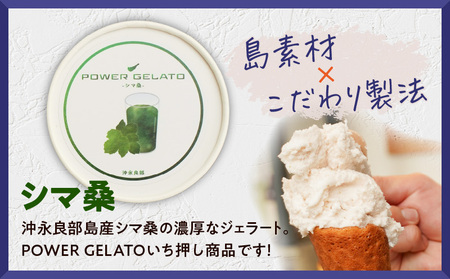 POWER gELATO 沖永良部島産（ シマ桑 ）90ml × 5個入り W066-005-01 冷凍 スイーツ