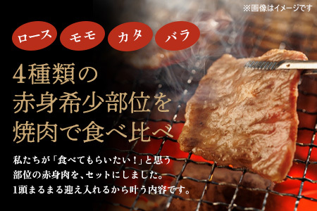 佐賀牛 希少部位焼肉セット450g(H122142)